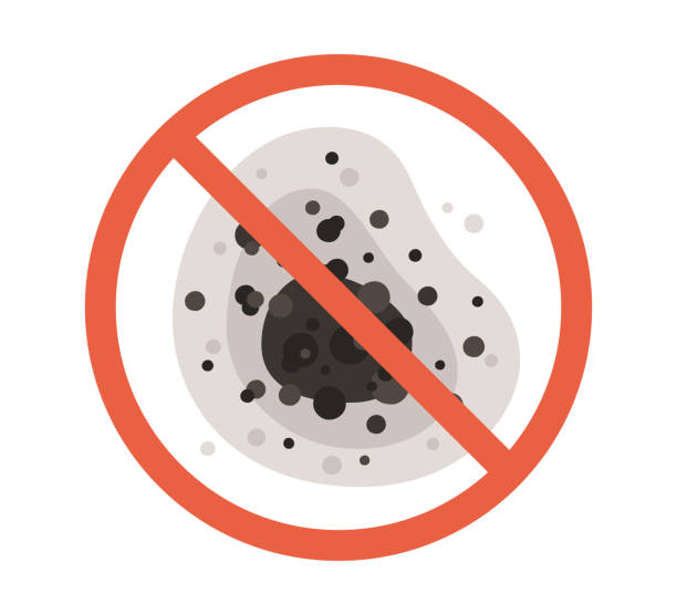 Best Comprehensive Air Testing for Mold Contaminants  in Lake Grove, NY