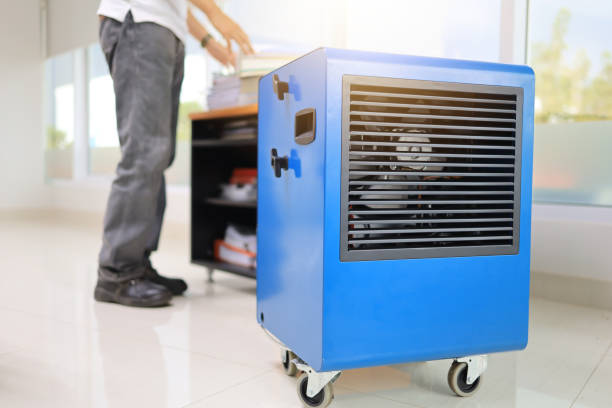 Best Dehumidification Services  in Lake Grove, NY