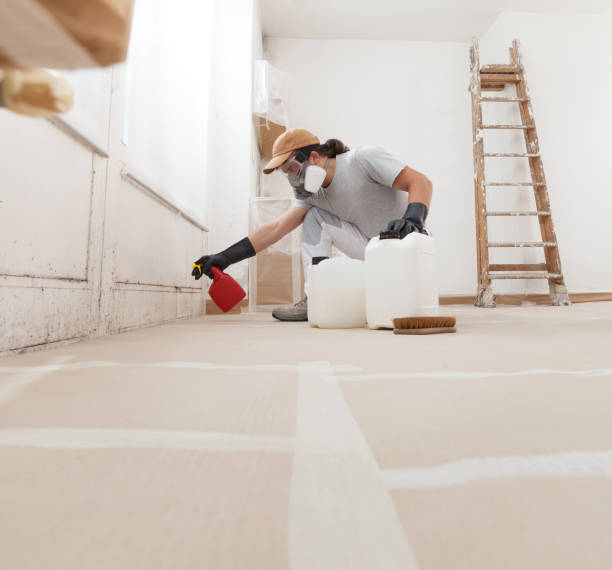 Best Real Estate Mold Inspection  in Lake Grove, NY
